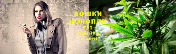 тгк Верея