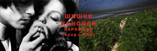 тгк Верея