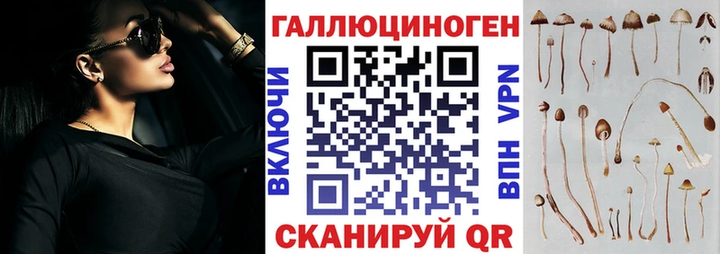 Галлюциногенные грибы Psilocybe  Северск 